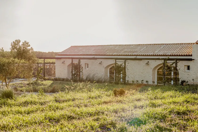 Masseria Vaccaro - Boutique Hotel - Image 1