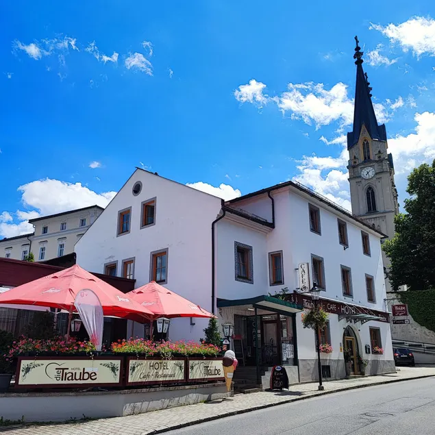 Hotel die Traube - Image 1