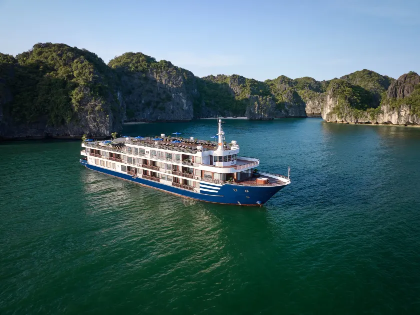 Erina Cruise by HAG - Image 1