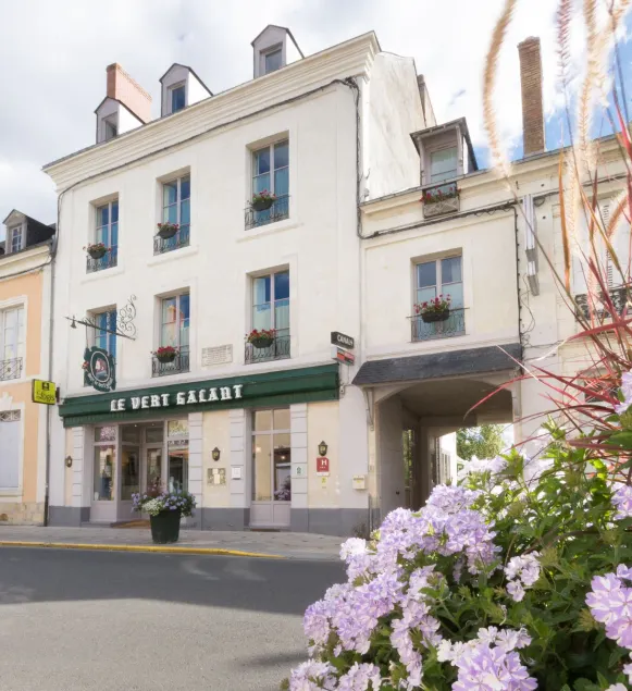 Logis Hôtel Le Vert Galant - Image 1