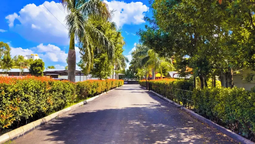 Vistar Resort & Hotels - Image 1