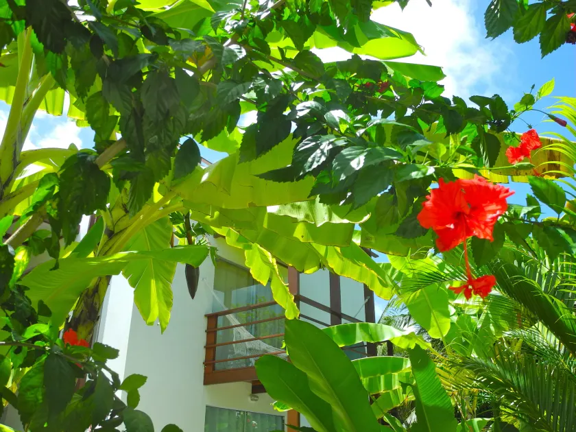 LA RESERVE DESIGN VILLAS BEIJA-FLOR e IPANEMA - Lobby