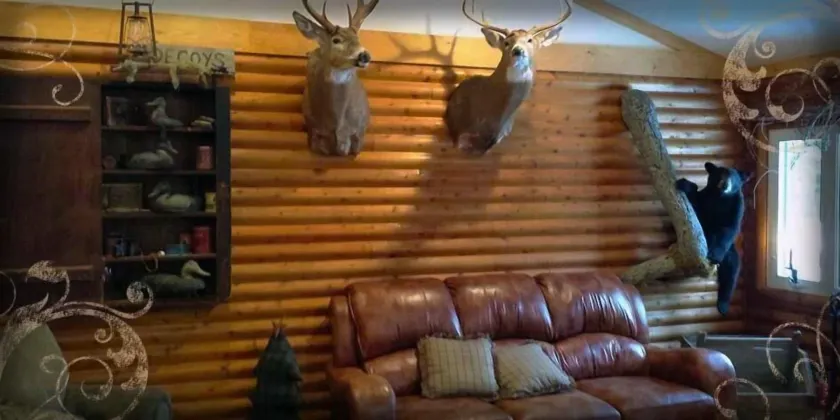 Deer Mountain Lodge & Wilderness Resort - Image 1