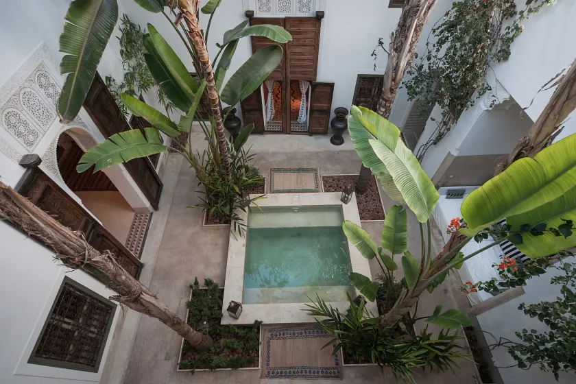 Riad Jaaneman - Image 1