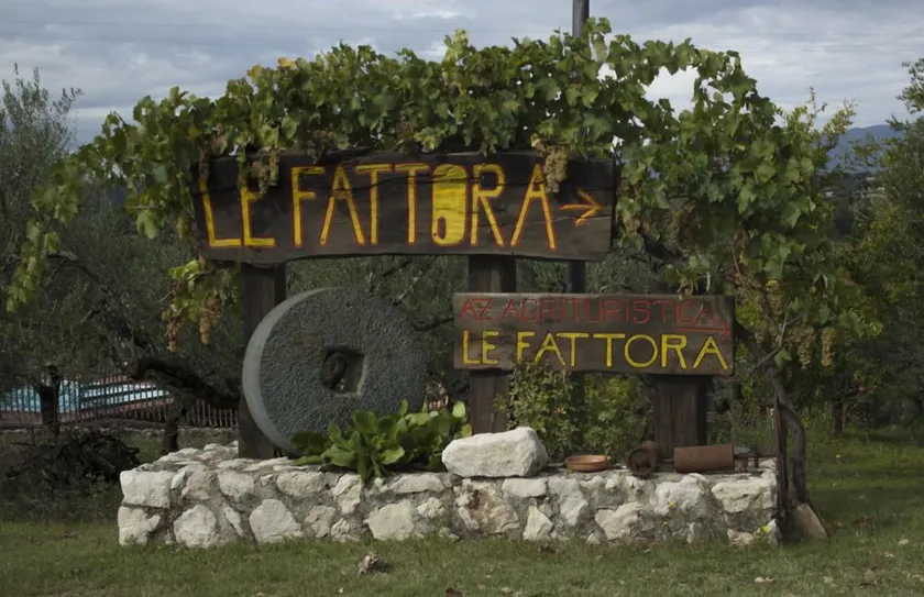 Le Fattora - Image 1