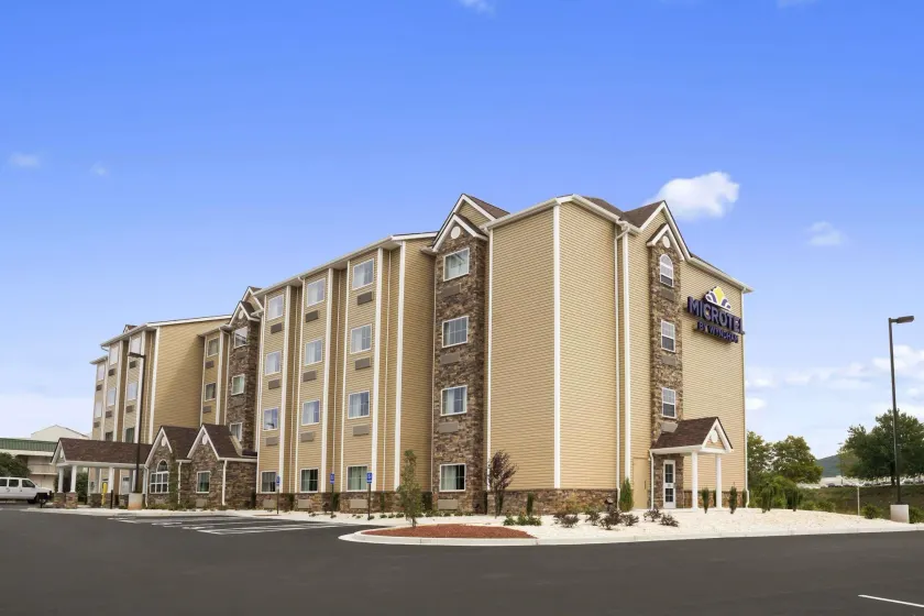 Microtel Inn & Suites by Wyndham - Image 1