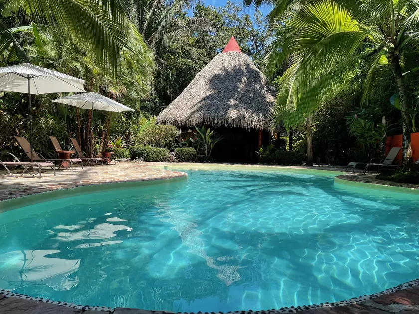 Hotel El Pequeño Gecko Verde - Image 1