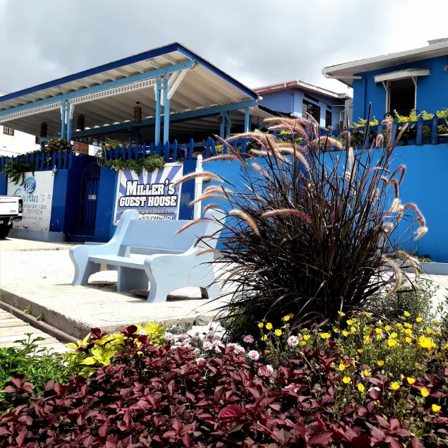 Miller's Guest House - Image 1