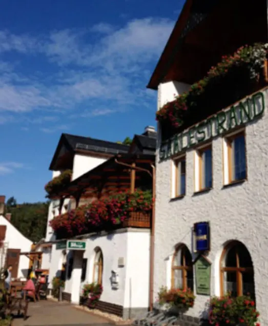 Hotel Saalestrand - Image 1
