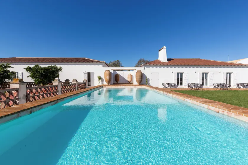 Cenoura-Brava - Image 1