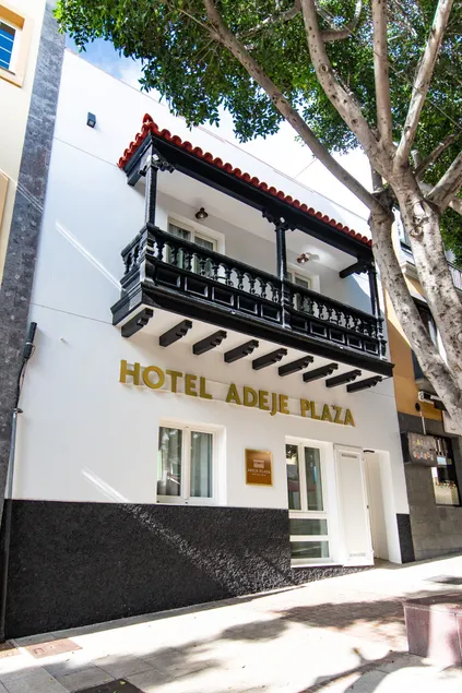 Suncanarias Hotel Adeje Plaza - Image 1