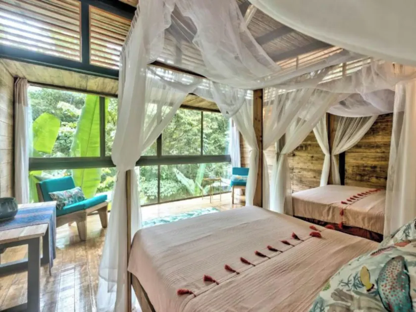 La Shamana - Ecological Concept in Jungle - Image 1