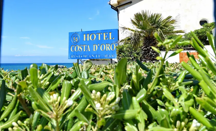 Hotel Costa d'Oro - Image 1