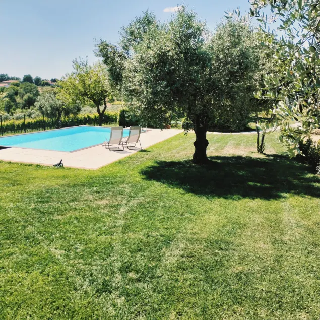 Angelucci Agriturismo con Camere e Agri Camping - Image 1