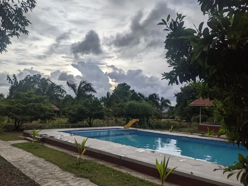Mango Tree Farm - Image 1