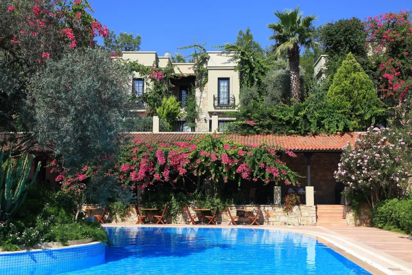 Hotel Zeytinada - Image 1