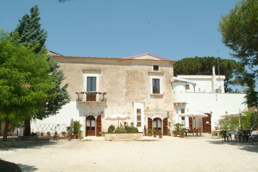 MASSERIA CITULO Il Pino grande - Image 1