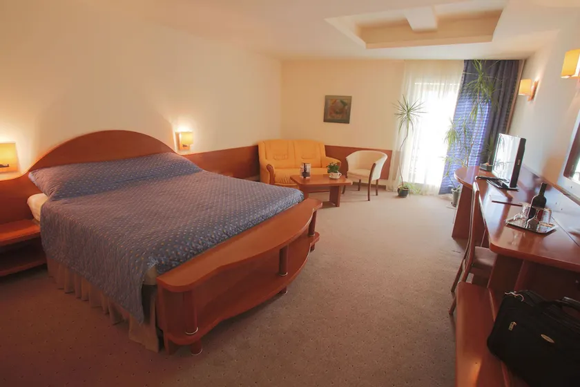Hotel Irisa - Image 1