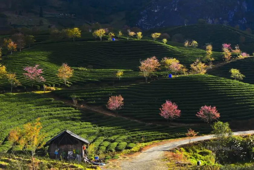 Sapa Dao Homestay - Image 1