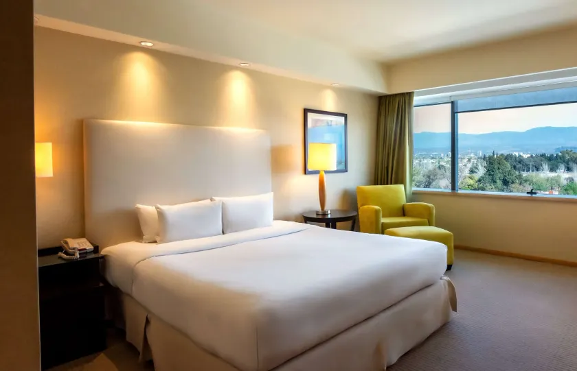 Hilton Mendoza - Image 1