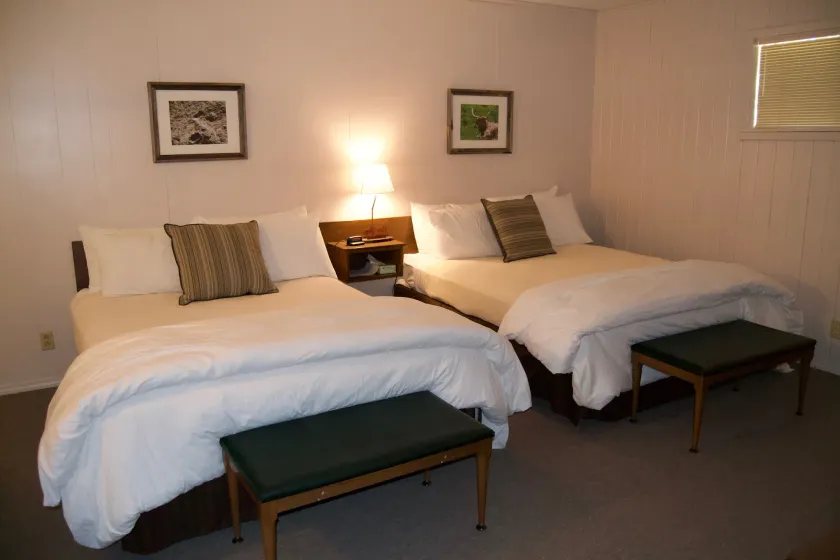 Pendaries Village Lodge - Image 1