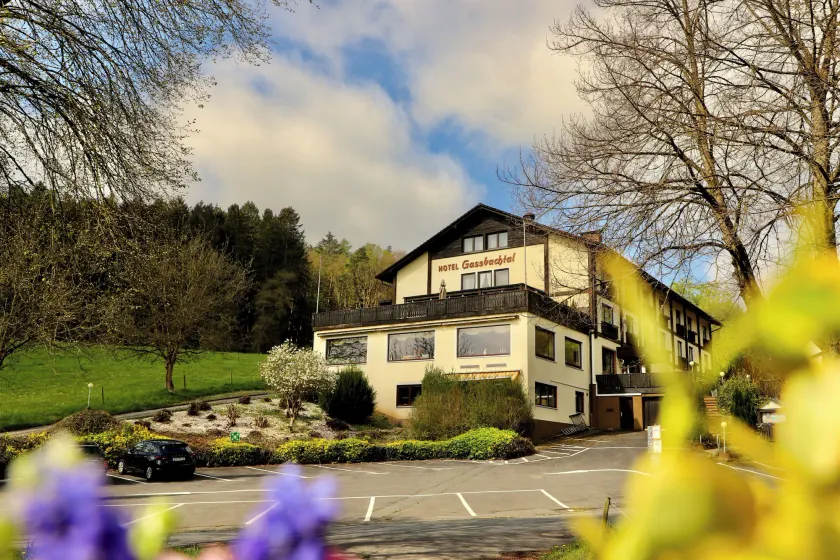  Natur & Wander Hotel Gassbachtal - Image 1