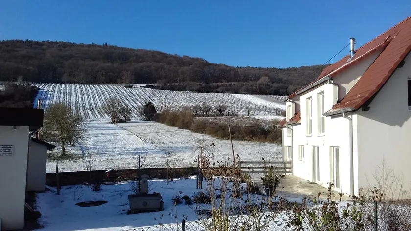 Aux vignes - Image 1