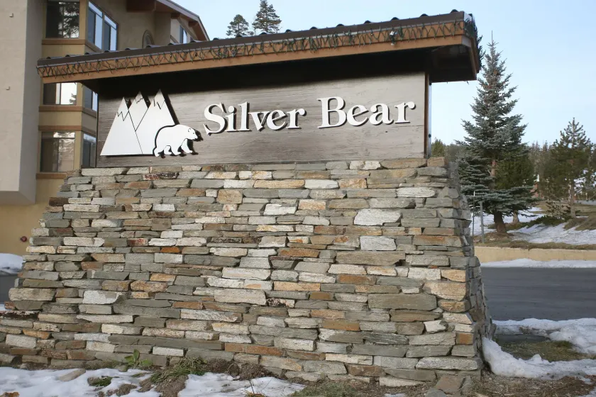 Silver Bear # 36 - Image 1
