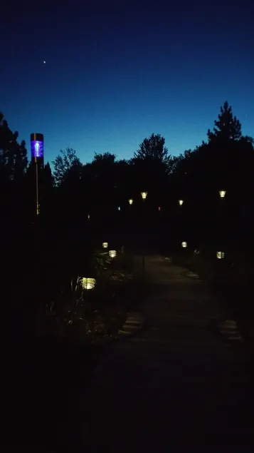 Shire In The Woods - Image 1