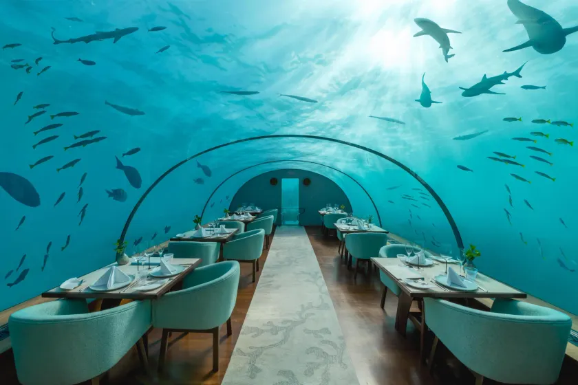 Conrad Maldives Rangali Island - Image 1