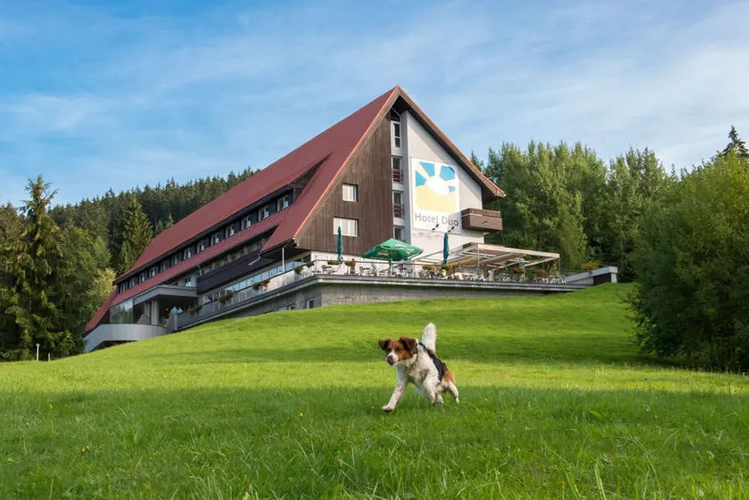 Hotel Duo - Image 1