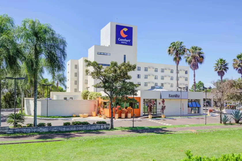 Comfort Franca - Image 1