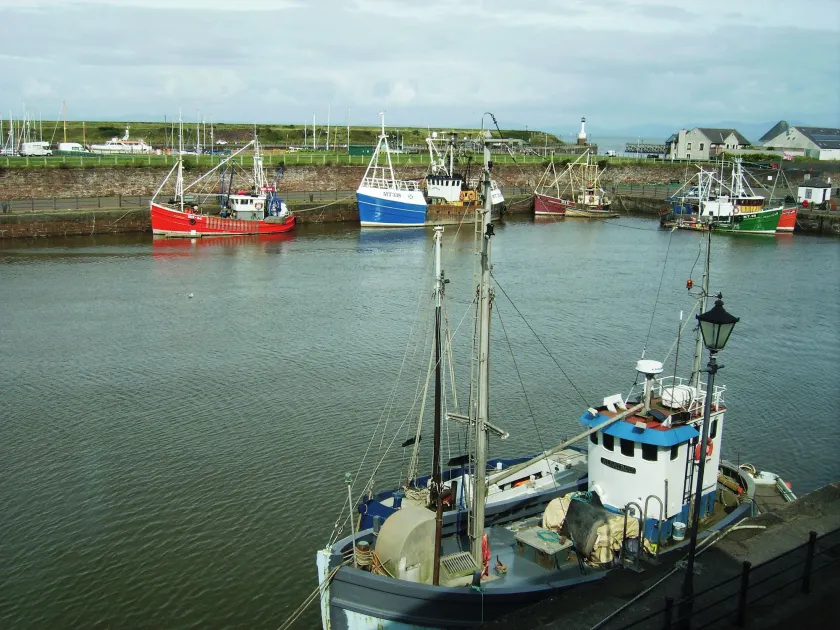 Harbour Side - Image 1
