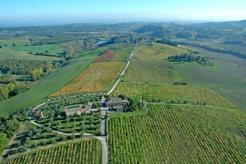 Tenuta Di Monaciano - Image 1