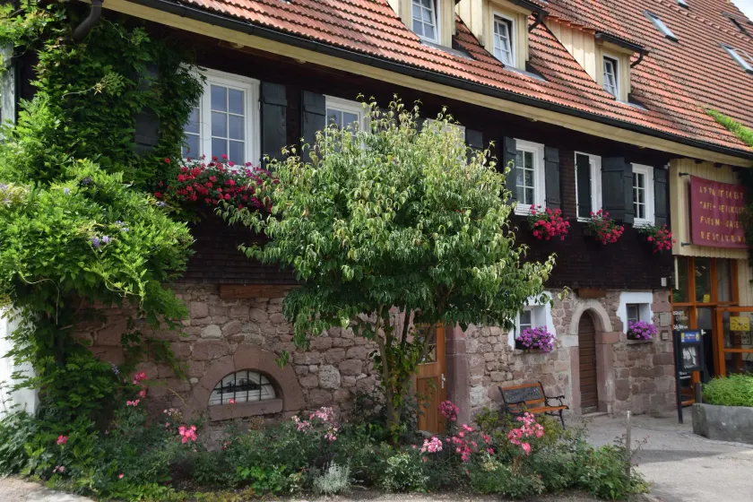 Gutshof-Hotel Waldknechtshof - Image 1