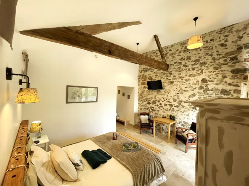 La Petite Félixière, B&B indépendants à 10 min de Cholet, 25 min du Puy du Foù et 35 min de Nantes - Image 1