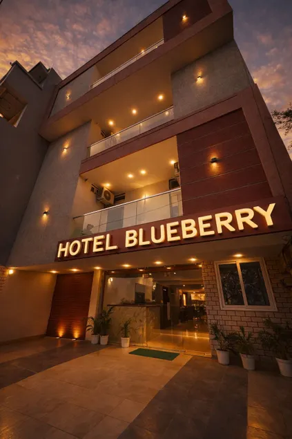 Hotel Blueberry Bhedaghat - Image 1