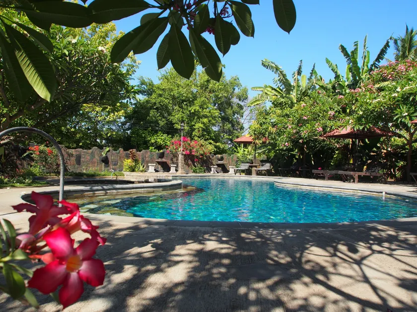 Rini hotel - Image 1