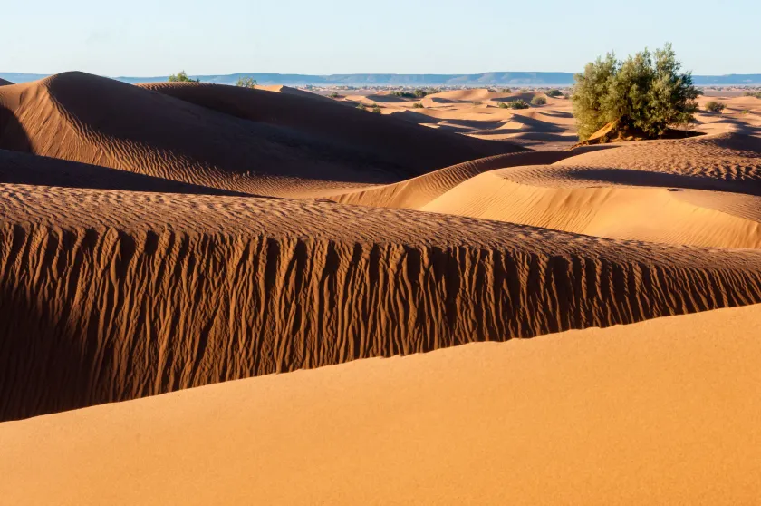 Camp Desert Bivouac Chegaga - Image 1
