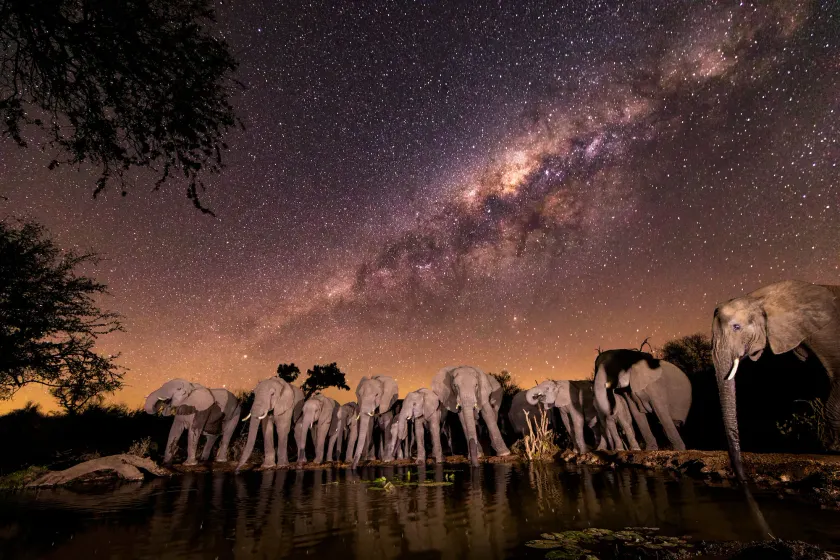 Antares Bush Camp & Umgede Hide - Image 1