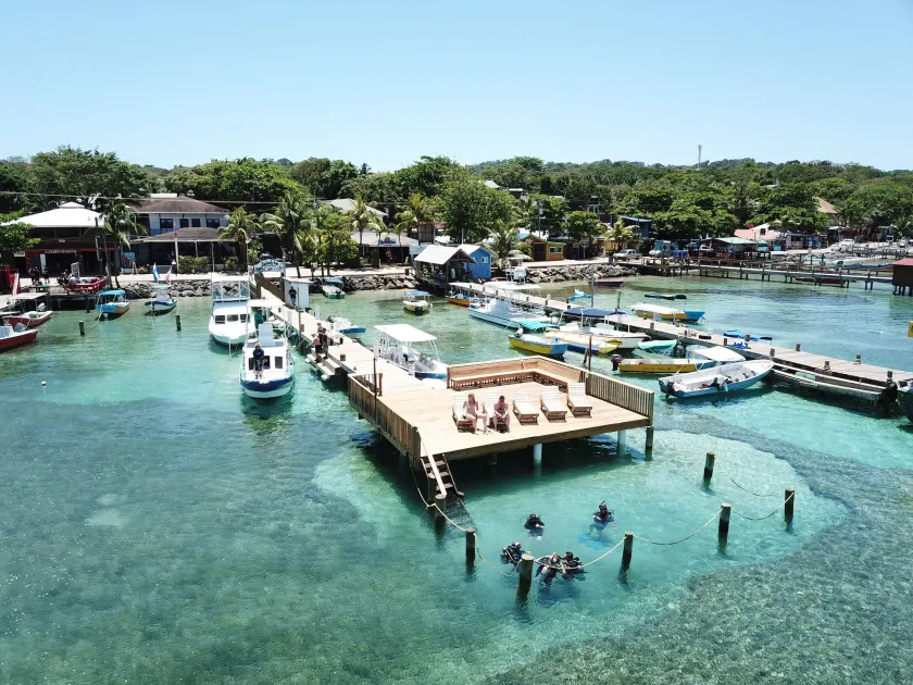 Splash Inn Dive Resort & Villas - Image 1
