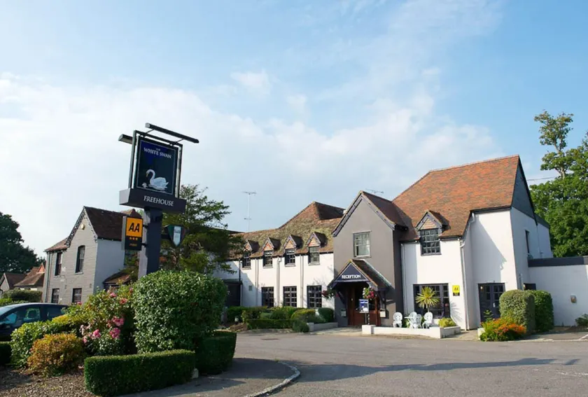 The White Swan - Image 1