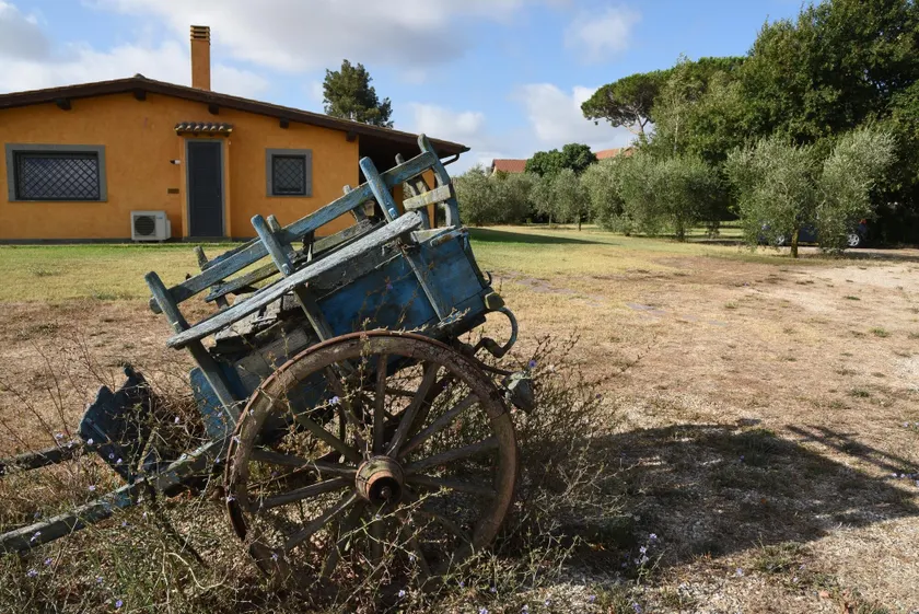 Casa Vacanze Vigna di Valle - Image 1
