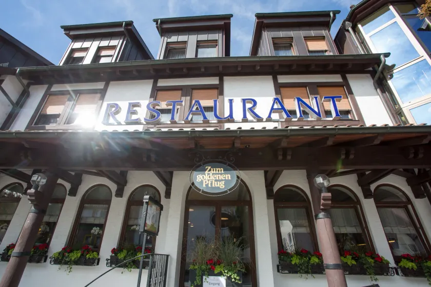 Hotel & Restaurant Goldener Pflug - Image 1