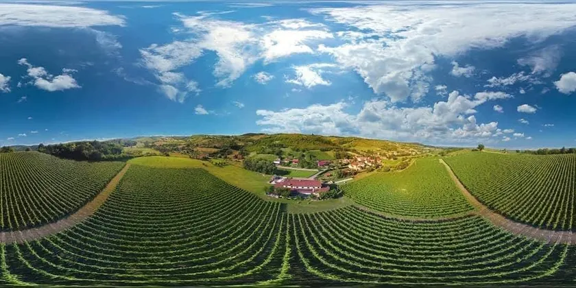 Stupnički Dvori Winery Hotel - Image 1