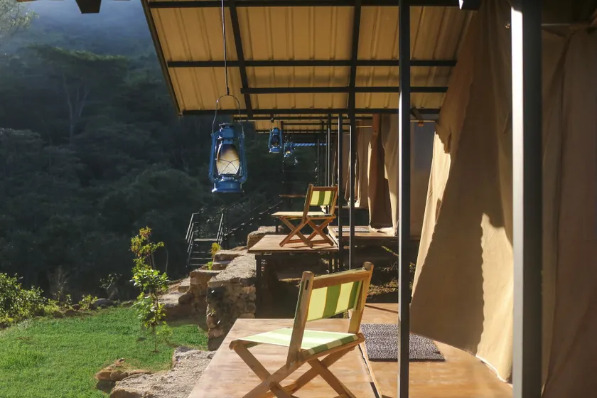 Wild Glamping Knuckles - Thema Collection - Image 1