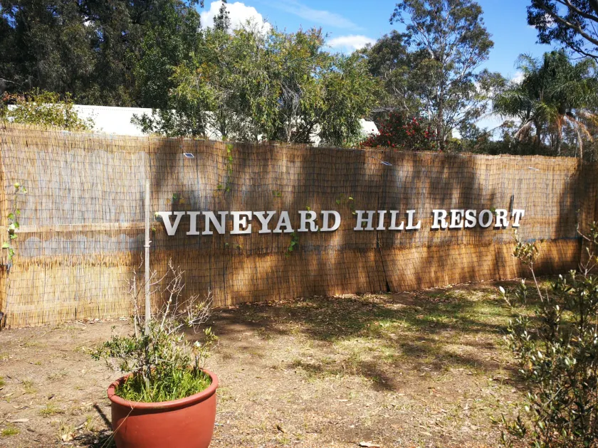 Vineyard Hill - Image 1