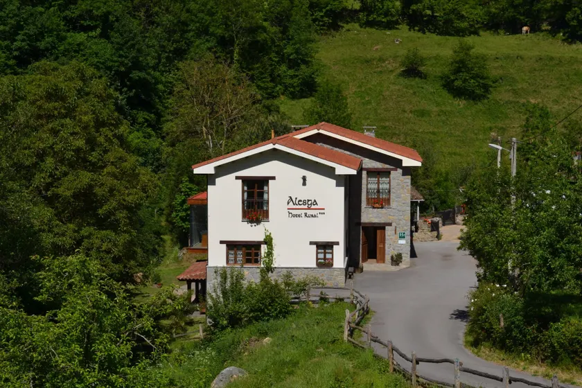 Alesga Hotel Rural - Valles del Oso -Asturias - Image 1
