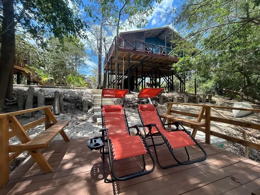 Howler Jungle House  - Image 1