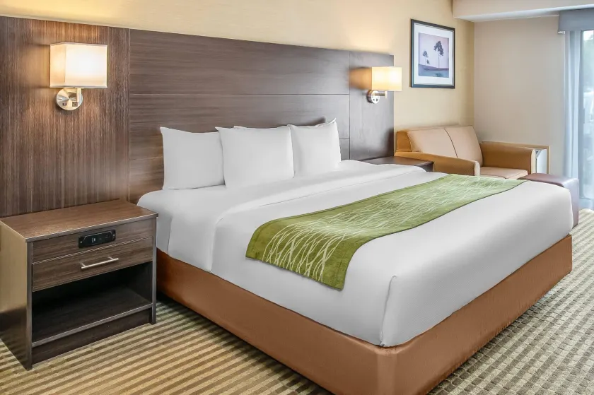 Comfort Inn Chatham - Image 1